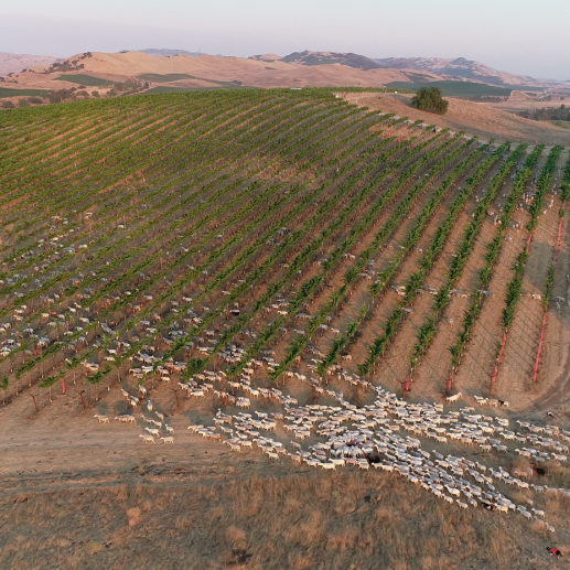 Screenshot 2025-06-04 at 3.48.25 PM